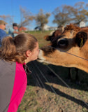 Fourth Annual Harvest Hay Ride & Pasture Walk