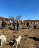 Fourth Annual Harvest Hay Ride & Pasture Walk